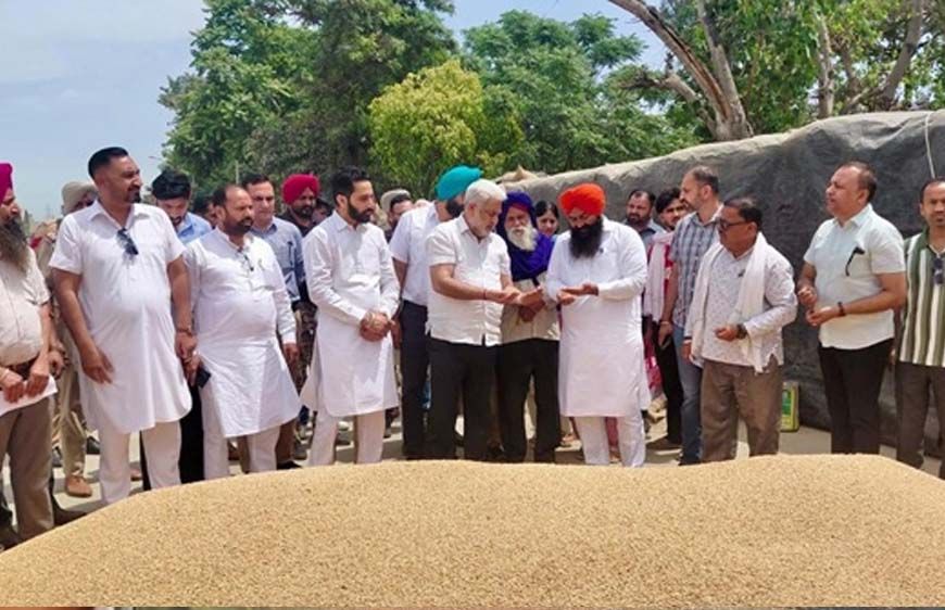 पंजाब की मंडियों में 28 लाख मीट्रिक टन गेहूं आया, 24 लाख से अधिक की खरीद: लाल चंद कटारूचक्क