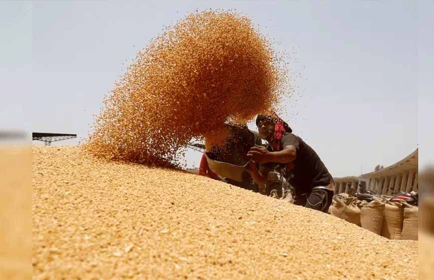 मुख्यमंत्री ने गेहूं खरीद में किसानों को दी बड़ी राहत