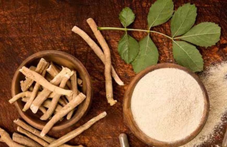 FSSAI का बड़ा फैसला: अश्वगंधा की पत्तियों पर रोक क्यों? जानें जड़ के फायदे और नुकसान