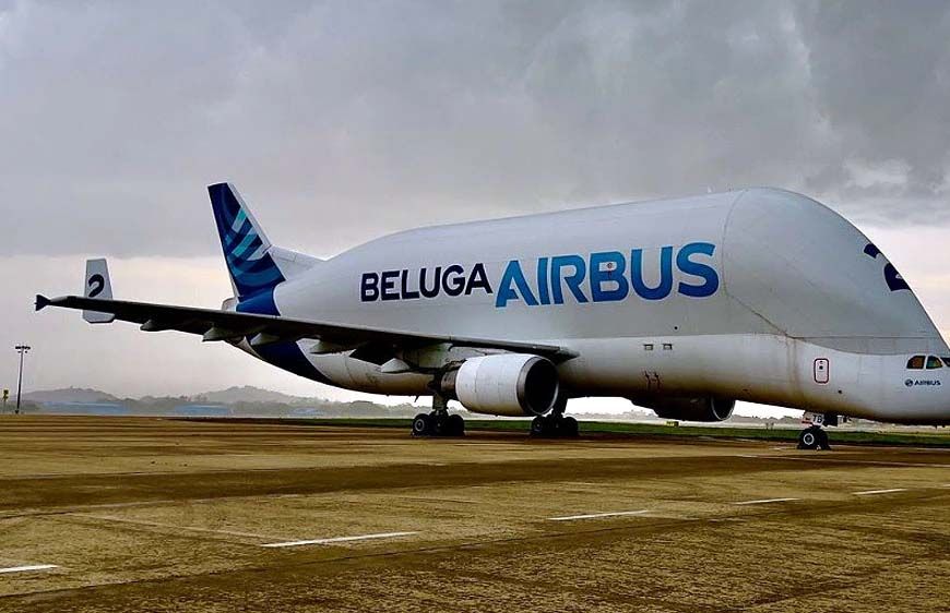 रीवा में उतरेंगे एयरबस जैसे बड़े विमान, रनवे को 2300 मीटर करने के लिए जमीन का होगा अधिग्रहण, 340 करोड़ मुआवजा मिलेगा