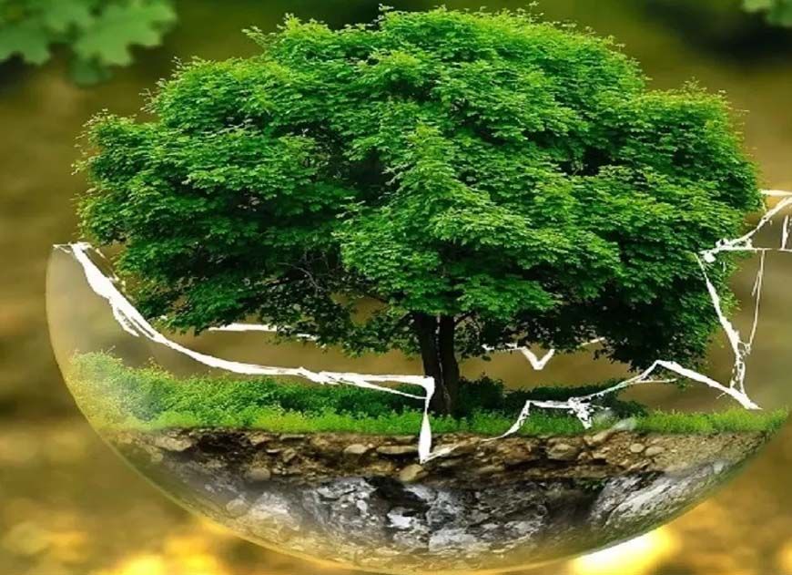 विश्व पृथ्वी दिवस पर INTACH की राष्ट्रीय पोस्टर प्रतियोगिता आयोजित