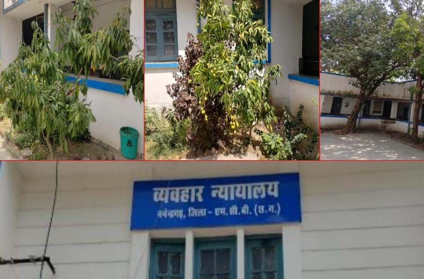 हरियाली की गोद में न्याय का मंदिर:मनेन्द्रगढ़ न्यायालय परिसर बना प्रकृति का मनमोहक आंगन
