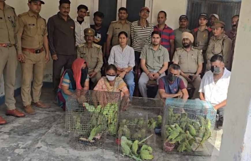 जगदलपुर में वन विभाग टीम पर हमला, तोतों की अवैध बिक्री पर कार्रवाई के दौरान हंगामा