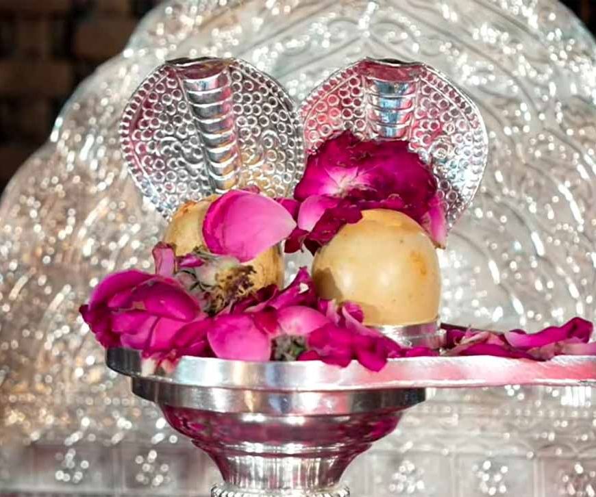 29 अप्रैल को रायपुर में प्राचीन “सोमनाथ ज्योतिर्लिंग छत्तीसगढ़ वासियों के जनदर्शन हेतु कार्यक्रम