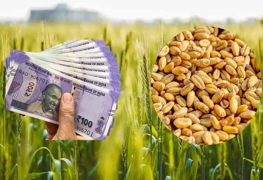 बिहार सरकार का किसानों को बड़ा तोहफा, रबी फसलों का MSP बढ़ा; सूरजमुखी में सबसे ज्यादा उछाल