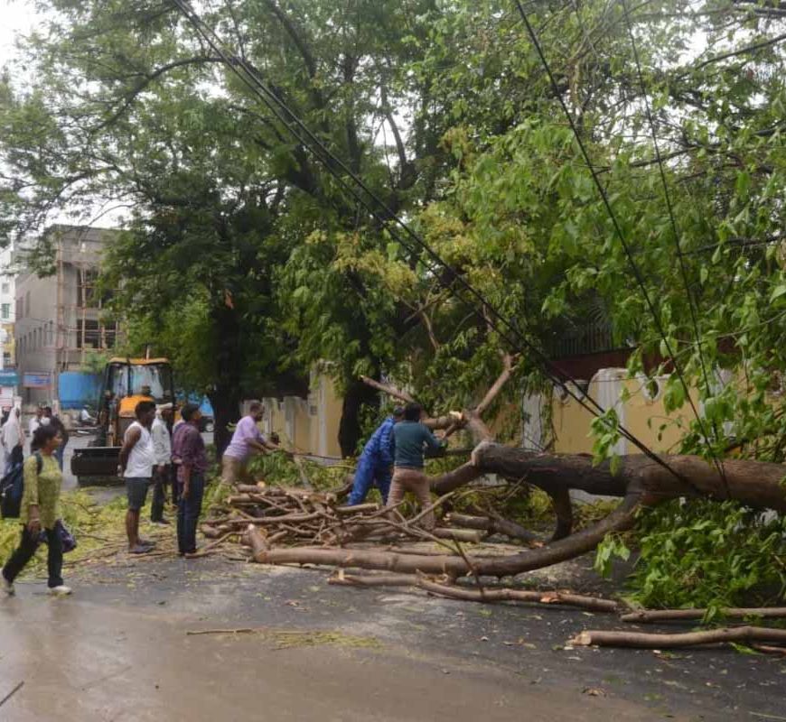 लखनऊ समेत कई जिलों में आंधी-बारिश का कहर: 18 की मौत, बिजली व्यवस्था ठप