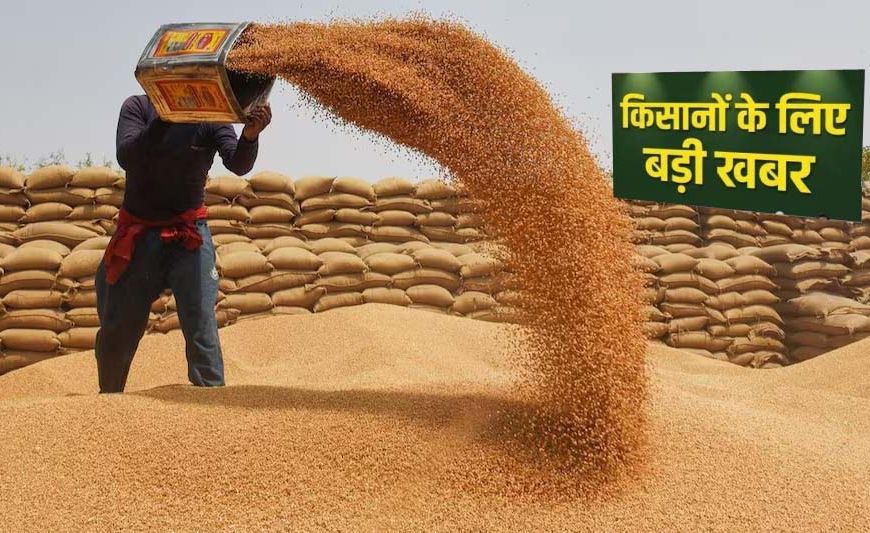 प्रदेश में किसानों के लिए खुशखबरी, गेहूं उपार्जन की तारीख बढ़ी, जानें नया अपडेट