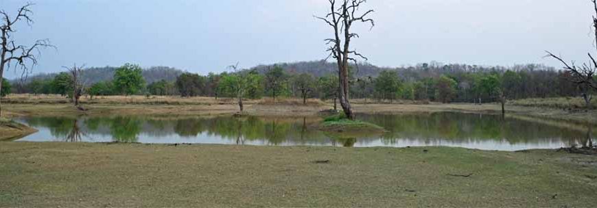 भीषण गर्मी में वन्यजीवों के लिए 'संजीवनी' बना बारनवापारा