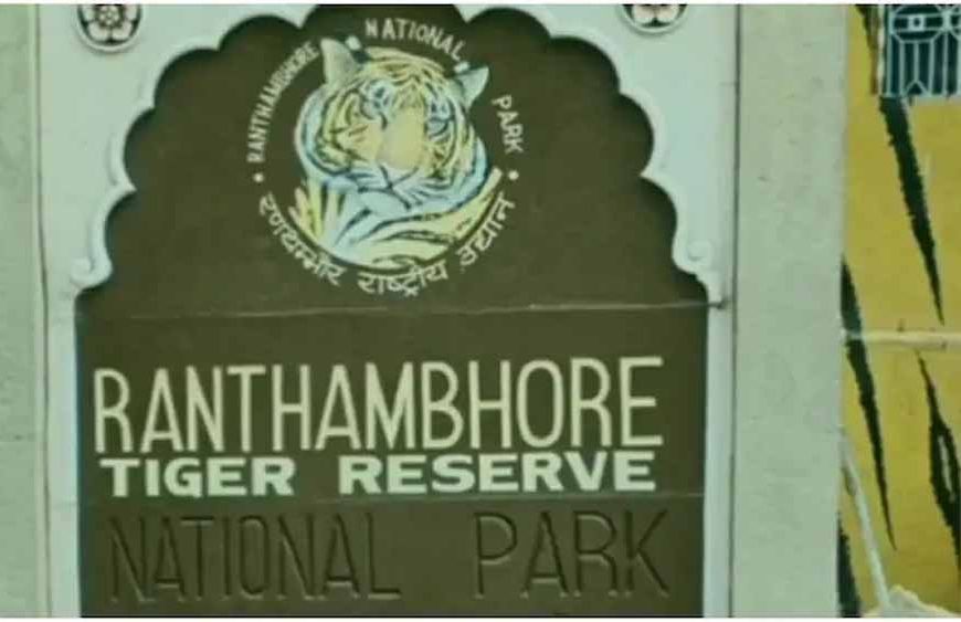 रणथंभौर टाइगर रिजर्व में फर्जी टिकट मामला, दो गाइड बैन लेकिन गार्ड को मिली राहत पर सवाल