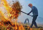 Haryana में पराली जलाने पर रोक बेअसर, मामलों में सात गुना उछाल