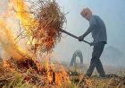 पराली जलाने पर सरकार सख्त, कई राज्यों में हजारों मामले दर्ज