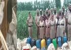 गुरदासपुर में अवैध शराब कारोबार पर बड़ी कार्रवाई, छापेमारी में भारी मात्रा में लाहन और शराब बरामद