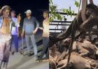 ऊंट तस्करी पर पुलिस और गौरक्षकों की बड़ी कार्रवाई, 21 ऊंट मुक्त और 2 गिरफ्तार