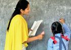 13,089 प्राइमरी शिक्षकों की भर्ती पर हाईकोर्ट का फैसला सुरक्षित, मेरिट लिस्ट फिर बनेगी