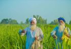 पंजाब के लिए राहत: एक साल में आत्महत्या के मामले 21% घटे, 2015 के बाद सबसे कम
