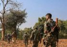 छत्तीसगढ़ में 76 CRPF जवानों की हत्या का मामला: सबूत न मिलने के कारण सभी आरोपी हाईकोर्ट से बरी