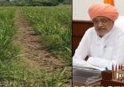 हरियाणा के गन्ना किसानों को बड़ा तोहफा: चौड़ी कतार रोपण पर ₹5000 प्रति एकड़ की सहायता