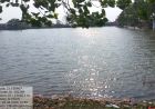नहरों से सूखते तालाबों में जलभराव:भीषण गर्मी से बड़ी राहत, 4755 तालाब हुए लबालब