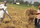 हरियाणा के किसानों ने बदली तस्वीर, पराली जलाने के बजाय अपना रहे वैज्ञानिक तरीके