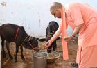 योगी सरकार का गो संरक्षण के लिए बड़ा मास्टर प्लान, ग्रामीण अर्थव्यवस्था से जोड़ा जाएगा अभियान