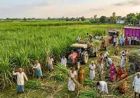 बिहार में डीबीटी योजना का बड़ा असर, 49 हजार करोड़ रुपये सीधे लाभुकों के खातों में पहुंचे