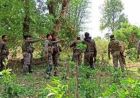 चक्रधरपुर: पोड़ाहाट जंगल में पुलिस-नक्सली मुठभेड़, एक-दो नक्सली ढेर की आशंका