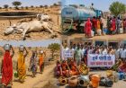 राजस्थान में भीषण जल संकट: 205 शहर-कस्बे प्रभावित, जयपुर-अजमेर में पानी की किल्लत