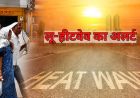MP में भीषण गर्मी का कहर, जानवरों के लिए लगाए कूलर-ग्रीन नेट; 6 जिलों में हीटवेव अलर्ट