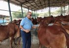 राष्ट्रशक्ति और आर्थिक समृद्धि का नया मॉडल बन रहा गो संरक्षण
