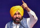 आवारा कुत्तों से मिलेगी राहत! CM भगवंत मान बोले- बनेंगे डॉग शेल्टर, सुरक्षित होंगे बच्चे-बुजुर्ग