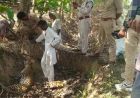 बलरामपुर में दर्दनाक हादसा: तार में फंसकर मादा तेंदुए की मौत, वन विभाग जांच में जुटा