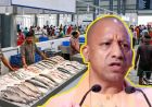यूपी में मत्स्य कारोबार को मिलेगा बड़ा बूस्ट, गोरखपुर-मुरादाबाद में बनेंगी आधुनिक फिश मंडियां