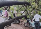 MP Weather Update: ग्वालियर-मुरैना में बारिश, 6 जिलों में लू और आंधी-ओलों का अलर्ट