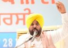पंजाब के खेतों तक पहुंचा 21 हजार क्यूसिक पानी, CM मान बोले- दो भाखड़ा नहरों के बराबर उपलब्धि