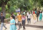 आरएएस 2024 में ग्रामीण उम्मीदवारों का दबदबा, 52% से ज्यादा चयन