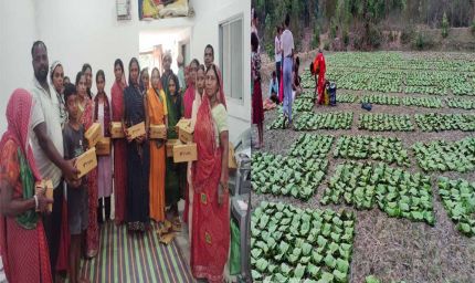 तेन्दूपत्ता से बदली जिंदगी, बढ़ी आय और सम्मान बढ़ी आय और सम्मान