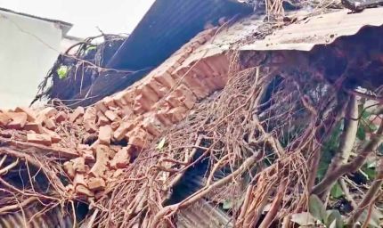 बिहार में आंधी-बारिश और ओलावृष्टि से 13 की मौत, कई जिलों में तबाही