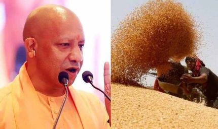 प्रदेश में गेहूं खरीद ने पकड़ी रफ्तार, 28 अप्रैल तक 6.10 लाख मीट्रिक टन गेहूं की खरीद