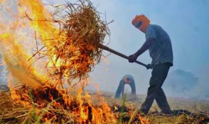 Haryana में पराली जलाने पर रोक बेअसर, मामलों में सात गुना उछाल