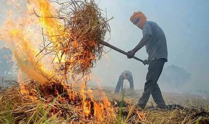 पराली जलाने पर सरकार सख्त, कई राज्यों में हजारों मामले दर्ज