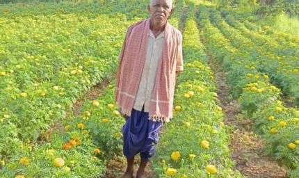 धान छोड़ फूलों की खेती ने बदली आनंदराम की तकदीर