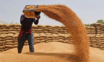 खरीदी में तेजी, सर्वर स्लो: 44 हजार किसान अब भी स्लॉट के इंतजार में, तारीख बढ़ी 23 मई तक