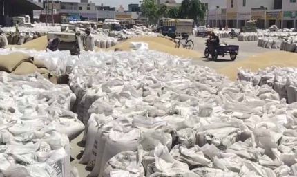 करनाल मंडी में अनाज का अंबार: लिफ्टिंग न होने से किसान बेहाल