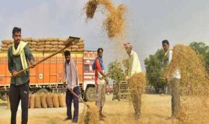 हरियाणा के किसान अब तंजानिया में भी कर सकेंगे खेती, सरकार ने विदेशी कृषि निवेश को दी मंजूरी