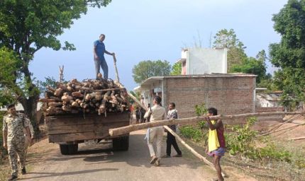 गौरेला क्षेत्र में सागौन की अवैध कटाई पर वन विभाग की बड़ी कार्रवाई