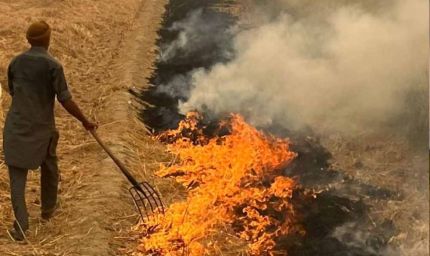 फरीदकोट में सख्त आदेश: पराली जलाने पर रोक के लिए अधिकारियों-कर्मचारियों को नई जिम्मेदारी