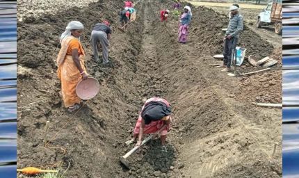 जल गंगा संवर्धन अभियान-पुष्पराजगढ़ में ‘जल गंगा संवर्धन अभियान’ से हो रहा है नहर सुदृढ़ीकरण