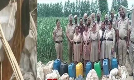 गुरदासपुर में अवैध शराब कारोबार पर बड़ी कार्रवाई, छापेमारी में भारी मात्रा में लाहन और शराब बरामद