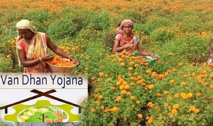 नारी शक्ति वंदन: वन धन केन्द्रों से आत्मनिर्भर बन रहीं जनजातीय वर्ग की महिलाएं
