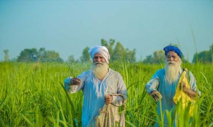 पंजाब के लिए राहत: एक साल में आत्महत्या के मामले 21% घटे, 2015 के बाद सबसे कम